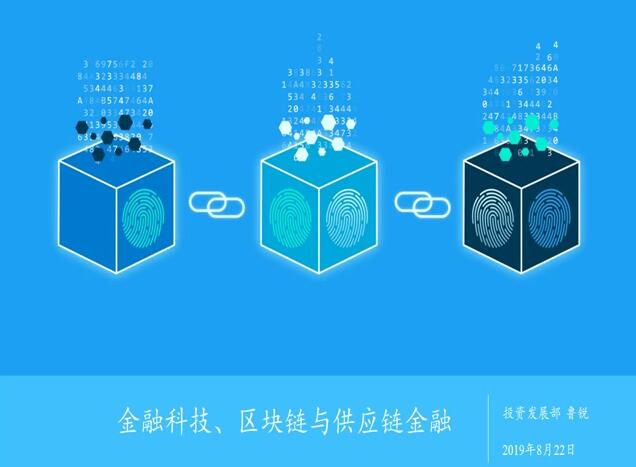 抖圈 - (中国区)抖圈为赌而生