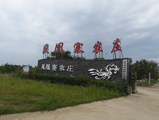 抖圈 - (中国区)抖圈为赌而生