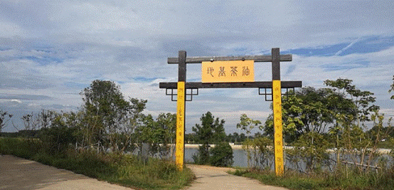 抖圈 - (中国区)抖圈为赌而生