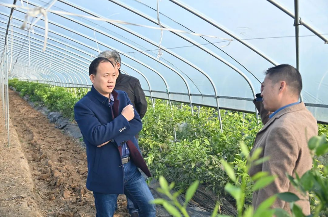 抖圈 - (中国区)抖圈为赌而生