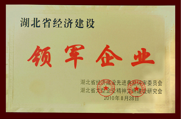 抖圈 - (中国区)抖圈为赌而生